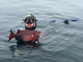 Pacific charters Morro Bay Fishing