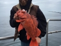 Pacific charters Morro Bay Fishing