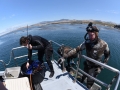 Pacific charters Morro Bay Fishing