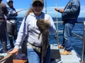 Pacific charters Morro Bay Fishing