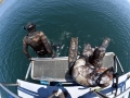 Pacific charters Morro Bay Fishing