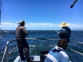 Pacific charters Morro Bay Fishing