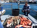 Pacific charters Morro Bay Fishing