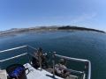 Pacific charters Morro Bay Fishing