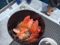 Pacific charters Morro Bay Fishing