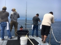 Pacific charters Morro Bay Fishing
