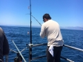 Pacific charters Morro Bay Fishing