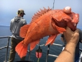 Pacific charters Morro Bay Fishing