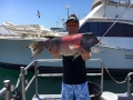 Pacific charters Morro Bay Fishing
