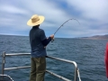 Pacific charters Morro Bay Fishing