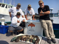Morro Bay Fishing, Deep Sea fishing, Rock cod