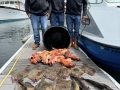 Morro Bay Fishing, Deep Sea fishing, Rock cod