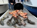 Morro Bay Fishing, Deep Sea fishing, Rock cod