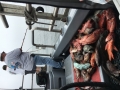 Morro bay fishing charters
