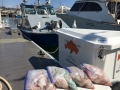 Morro bay fishing charters