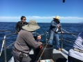 Morro bay fishing charters