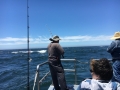 Morro bay fishing charters