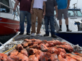 Morro bay Deep Sea fishing