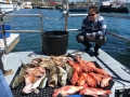 Morro bay fishing charters