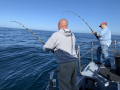 Morro Bay Fishing, Deep Sea fishing, Rock cod