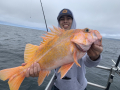 Morro Bay Fishing, Deep Sea fishing, Rock cod