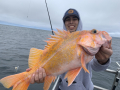 Morro Bay Fishing, Deep Sea fishing, Rock cod