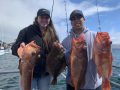 Morro Bay Fishing, Deep Sea fishing, Rock cod