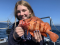 Morro Bay Fishing, Deep Sea fishing, Rock cod