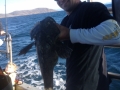 Morro bay fishing charters