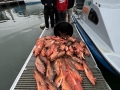 boatfish7 Morro Bay Fishing, Deep Sea fishing, Rock cod