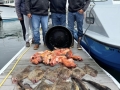 Morro Bay Fishing, Deep Sea fishing, Rock cod