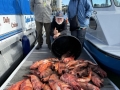 dockfish Morro Bay Fishing, Deep Sea fishing, Rock cod