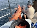 Morro Bay Fishing, Deep Sea fishing, Rock cod