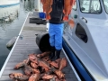 Morro Bay Fishing, Deep Sea fishing, Rock cod