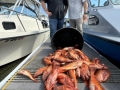 Morro Bay Fishing, Deep Sea fishing, Rock cod